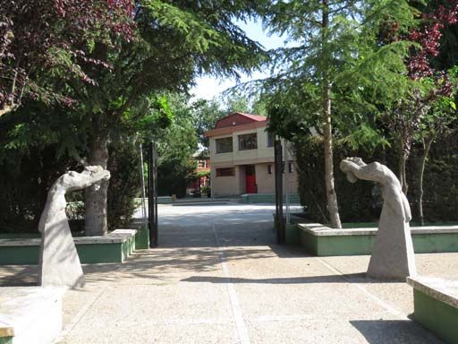 Foto Serrada