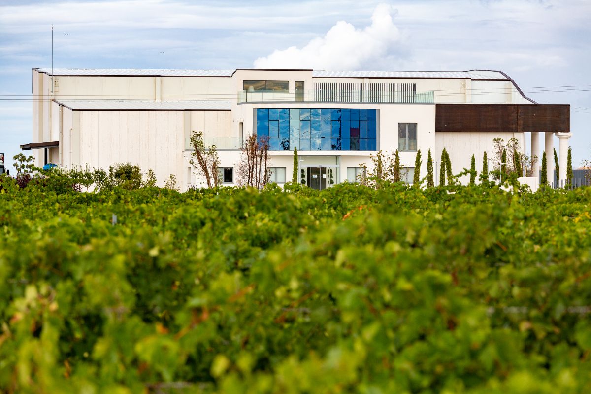 Foto Bodega Pandora