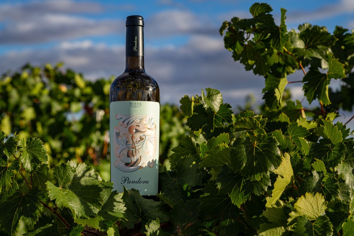 Foto Bodega Pandora